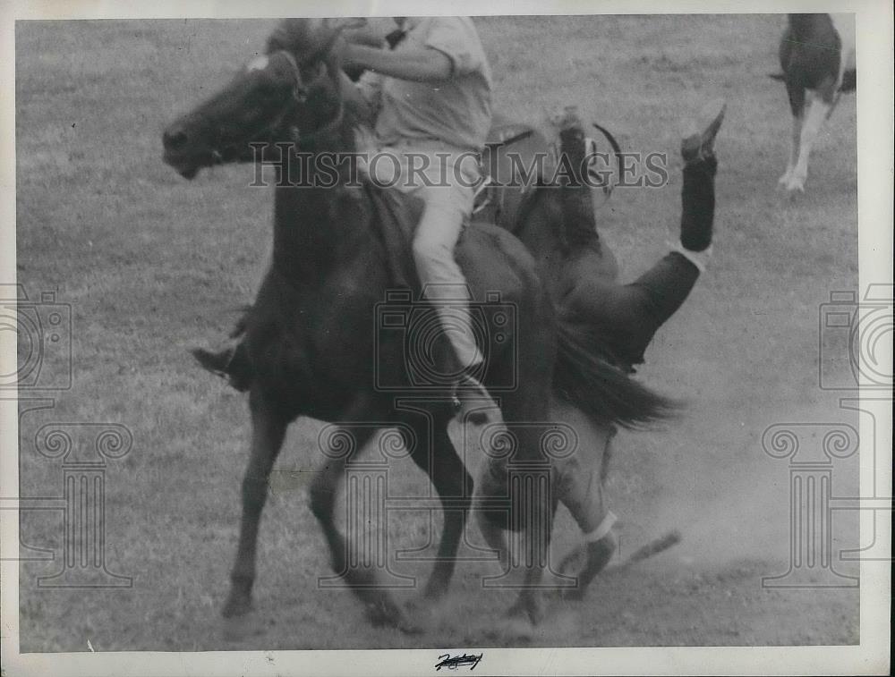 Press Photo Man fall at the Australian Rodeo. - Historic Images