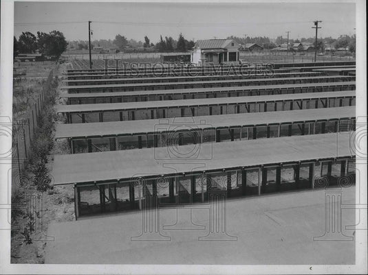 1937 Press Photo Chaoman Chinchilla farm in Calif. - Historic Images
