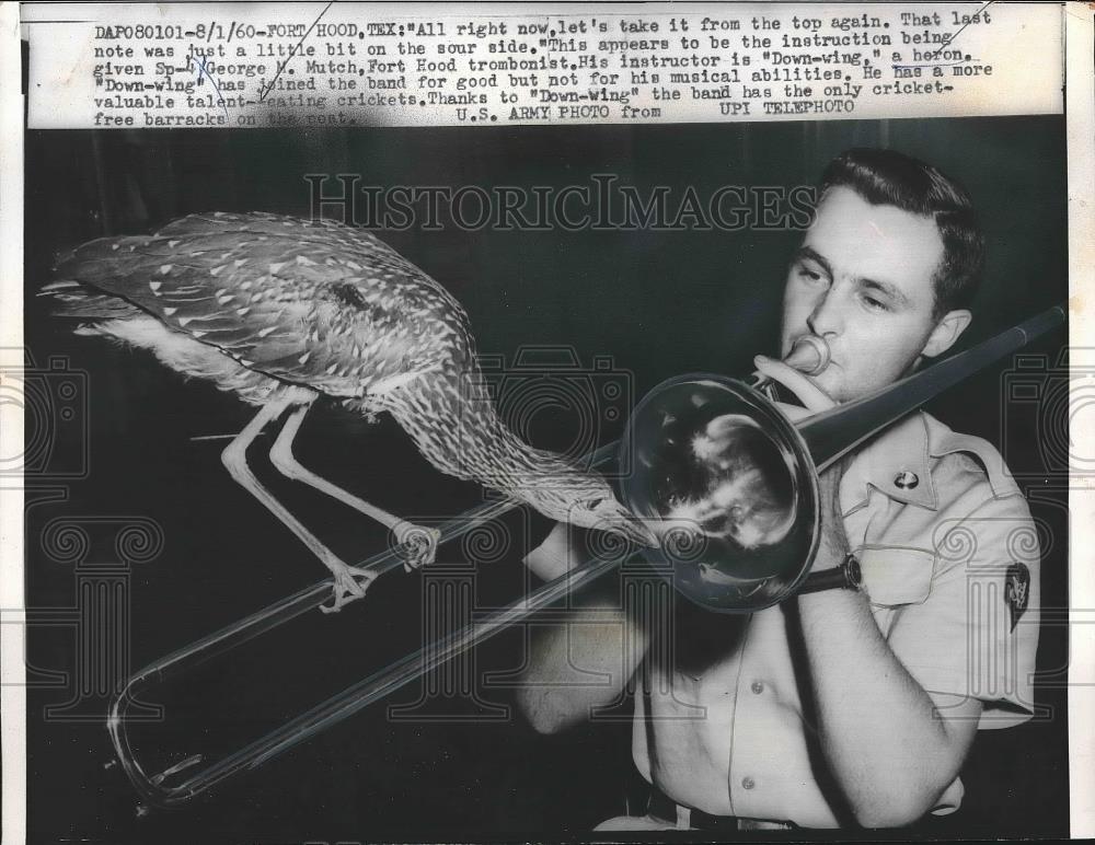 1960 Press Photo Sp-4 George M. Mutch, Fort Hood Trombonist with Heron - Historic Images