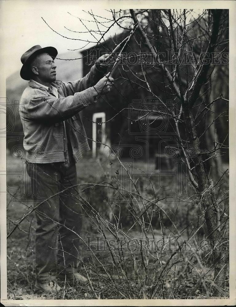 1933 Press Photo Henry C. Korntved, California Farmer - Historic Images