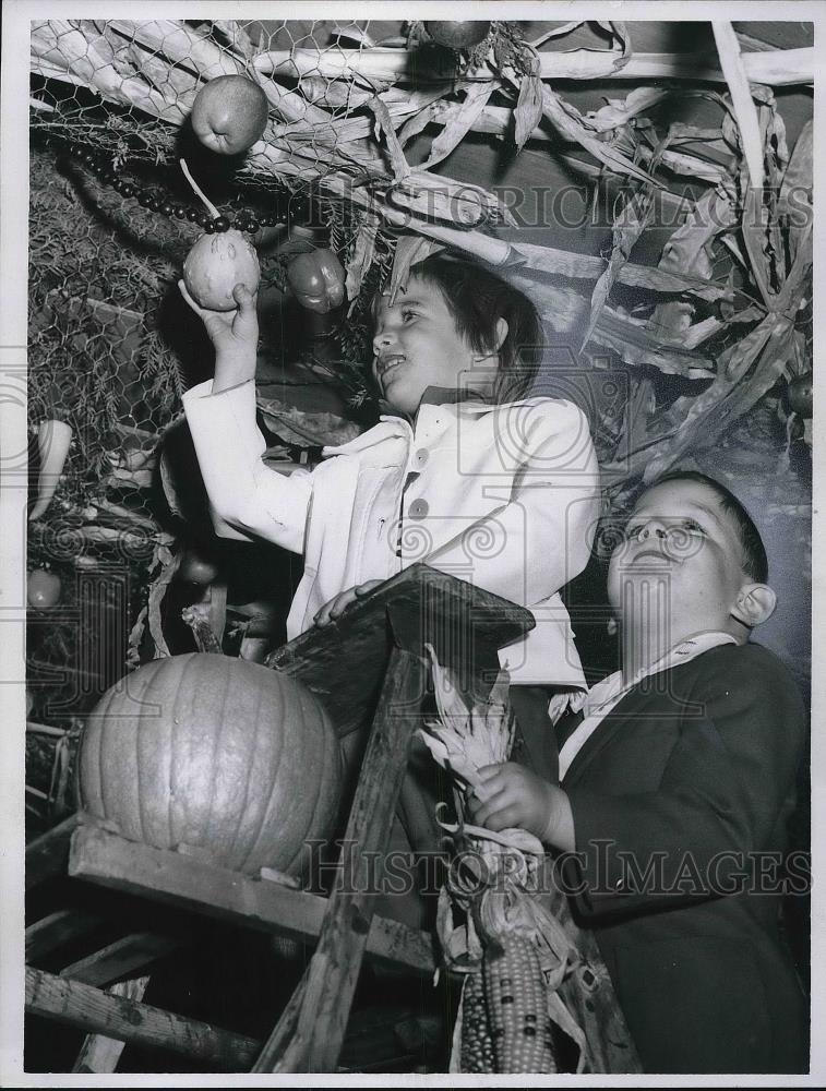 1960 Press Photo Ellen Lewis and Ronnie Katz hanging decorations - Historic Images