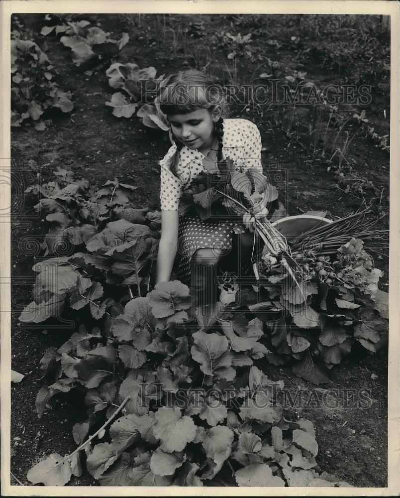 1951 Press Photo Girl in Field of Turnips - Historic Images