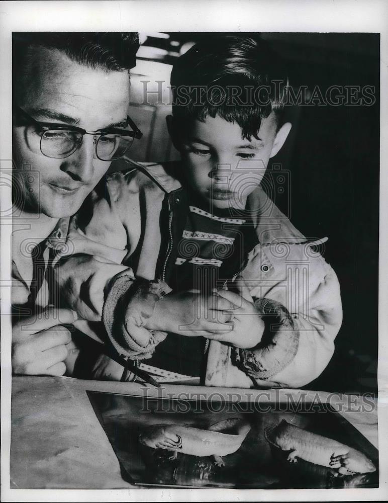 1956 Press Photo Everett Elar Ringer and Earl Ringer with Salamaders - Historic Images