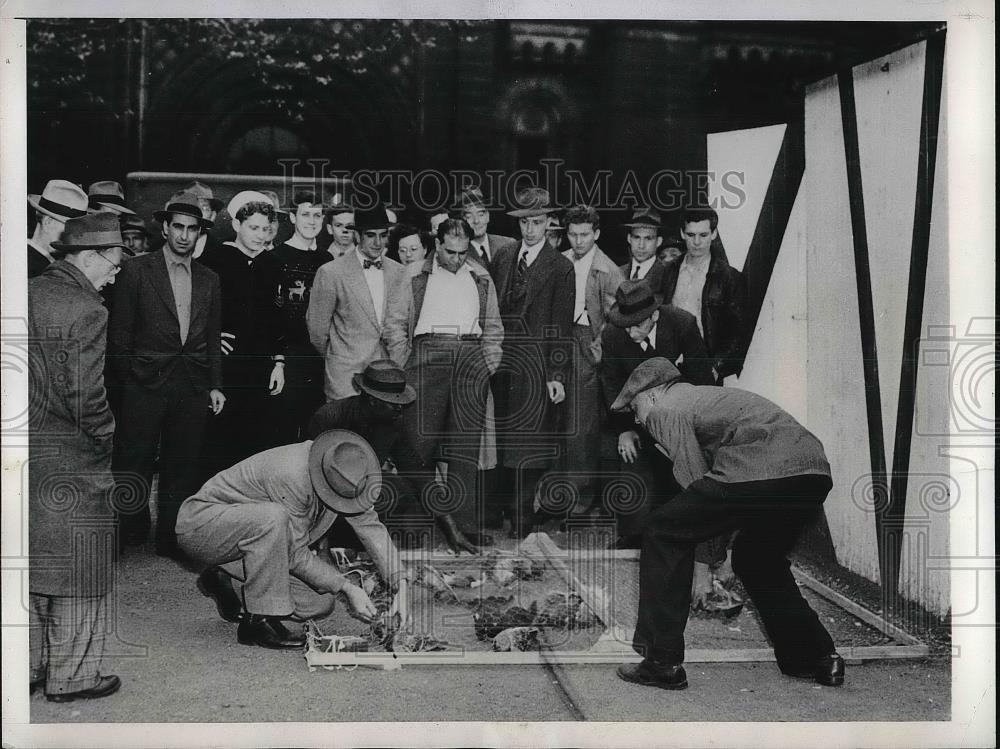 1945 Press Photo Dr Rufus Reeves Board Of Health Pigeon Nest Philadelphia - Historic Images