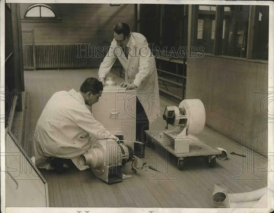1932 Press Photo Baby Gorilla Nigi Washingto Zoo Morris Eckman S Meyers - Historic Images