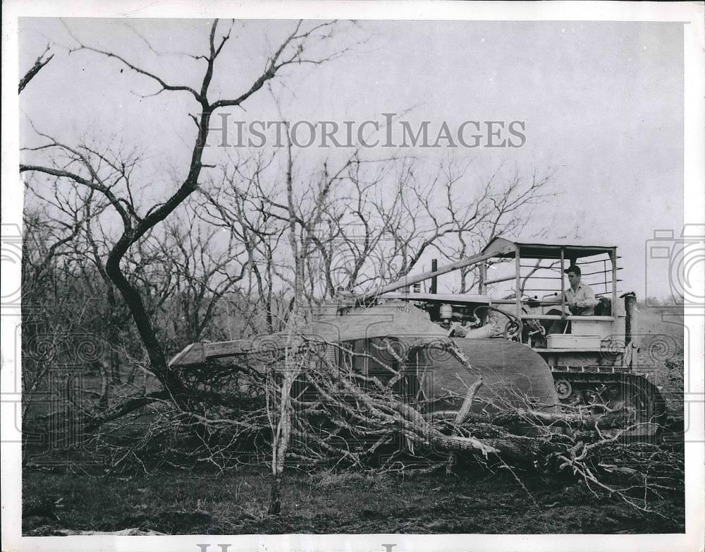 1946 Press Photo Texas Treedozer Texas Mesquite - Historic Images