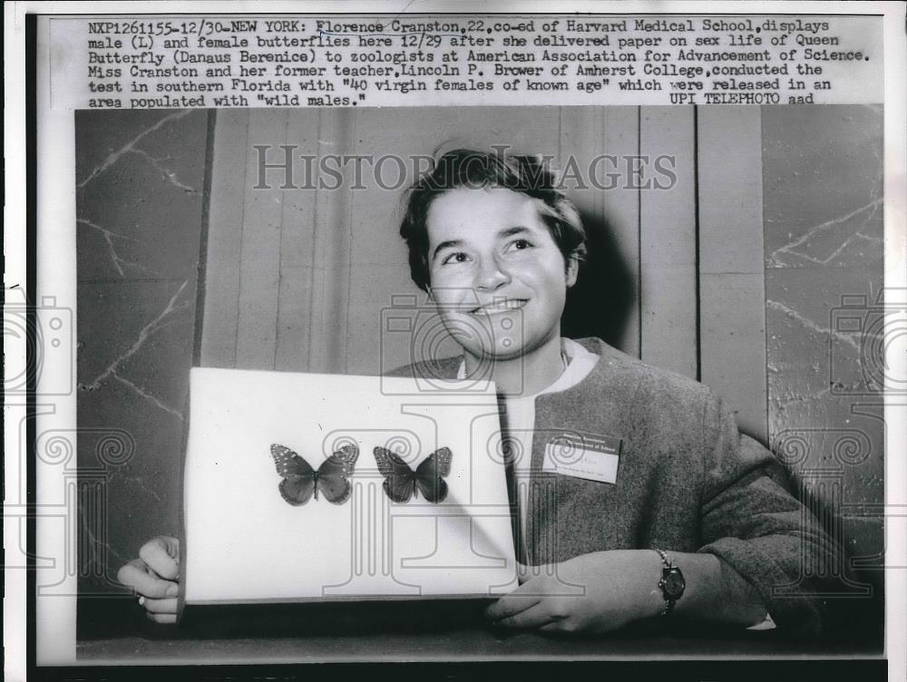 1960 Press Photo Florence Cranston of Harvard Mdical School display butterflies. - Historic Images