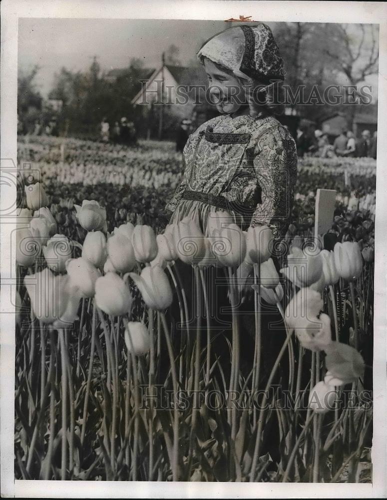 1931 Press Photo A young girl in a tulip field - Historic Images