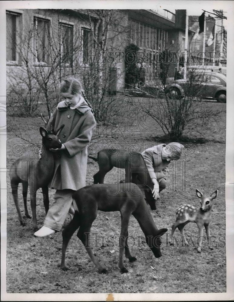 1960 Press Photo Deer made of rubber, International Toy Fair, Nuernberg, Germany - Historic Images