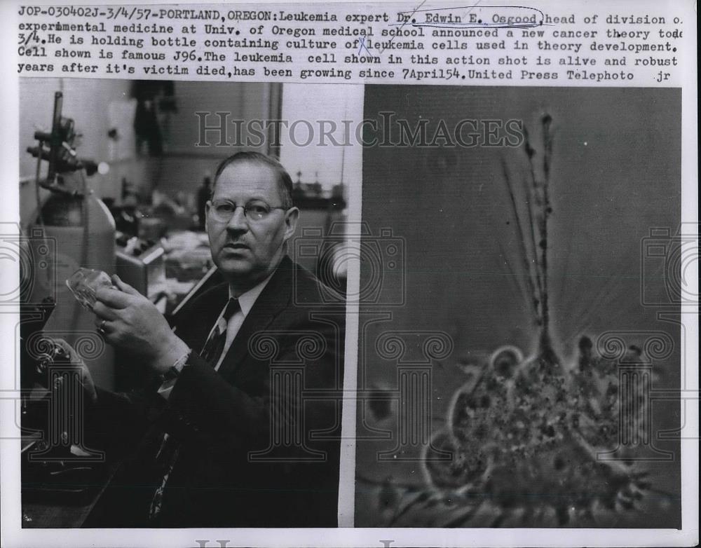 1957 Press Photo Luekemia Expert Dr. Edwid E. Osgood - Historic Images