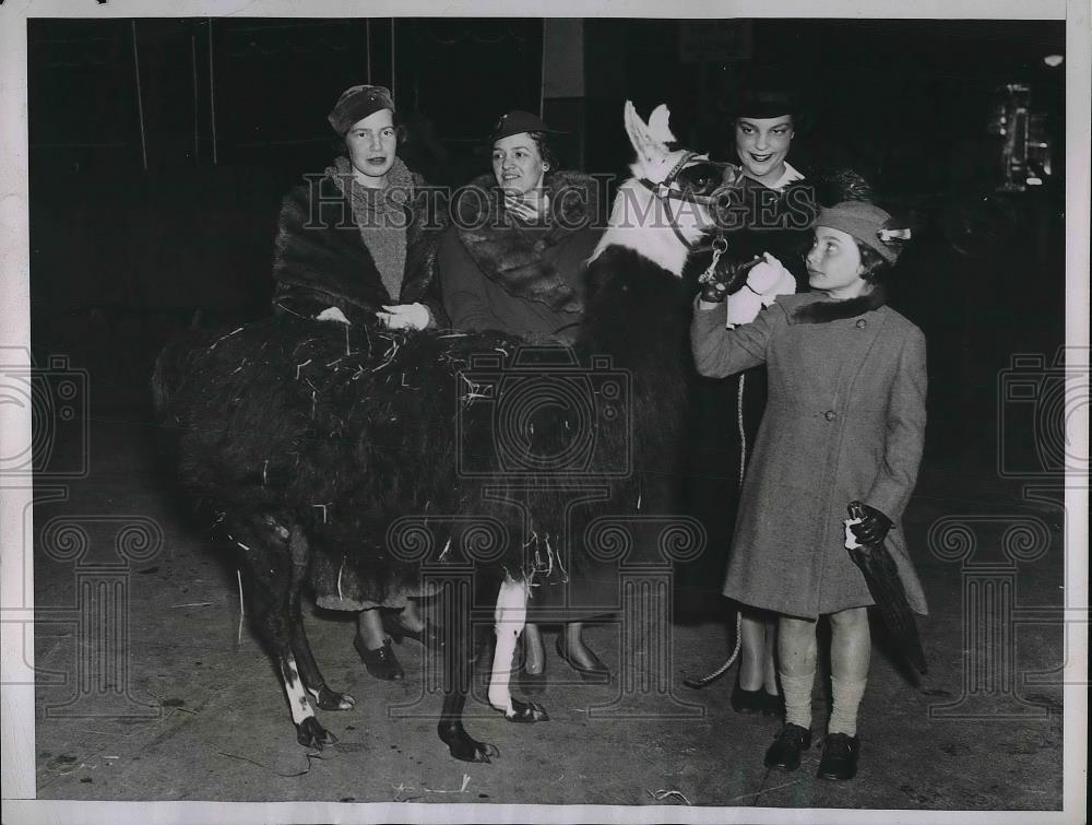 1935 Press Photo Society Folks Watch Circus Rehearsal - Historic Images