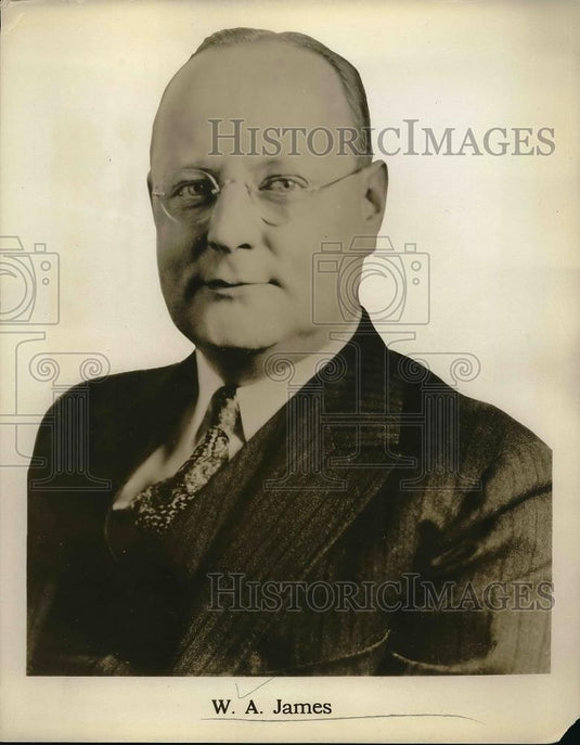 1931 Press Photo W. A. James, assistant sales manager of Hudson's Dept Store - Historic Images