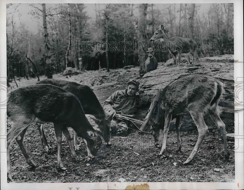 1956 Press Photo Hunter Peter Shepherd Takes A Nap In County Deer Preserve Park - Historic Images