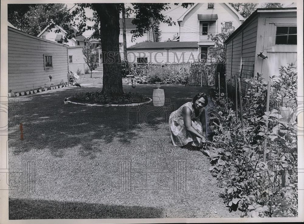 1963 Press Photo Mrs. Morris Lewes Working On Her Yard for the Landscape Contest - Historic Images