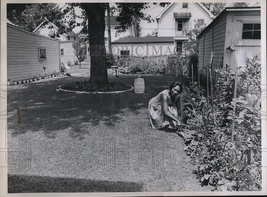 1963 Press Photo Mrs. Morris Lewes Working On Her Yard for the Landscape Contest - Historic Images