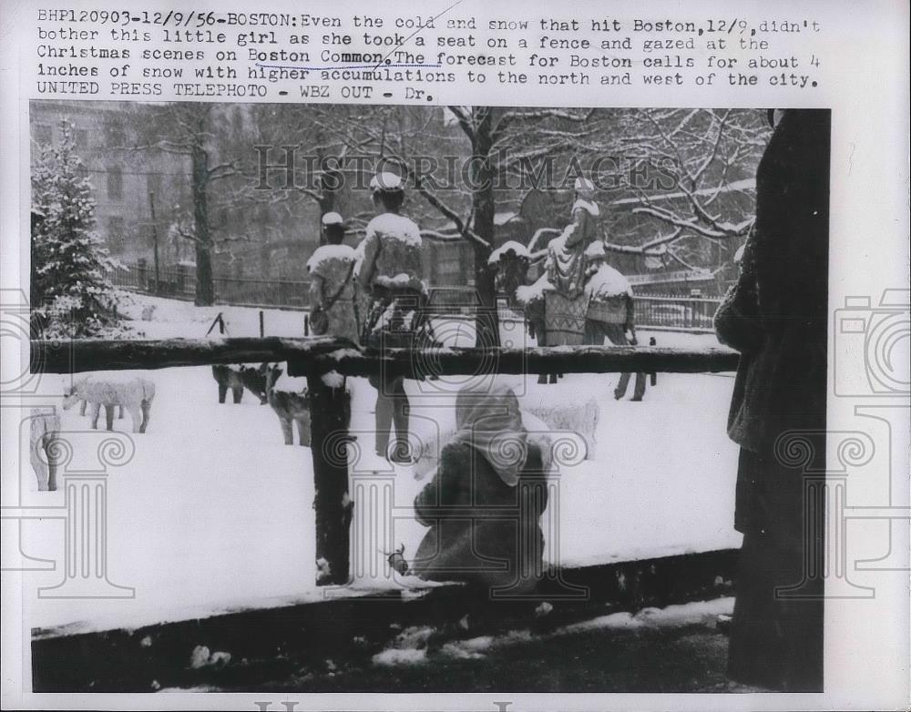1956 Press Photo Boston Common Cold and snow - nea87069 - Historic Images