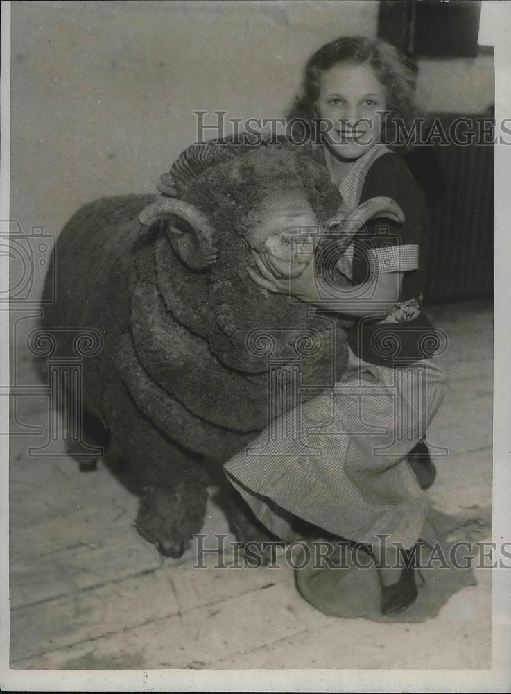 1933 Press Photo Rambouilet Sheep winner at the International Livestock - Historic Images