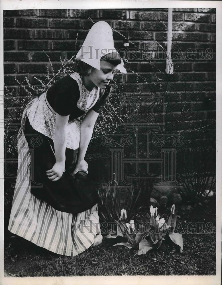 1949 Press Photo Young Janet watching tulips - Historic Images