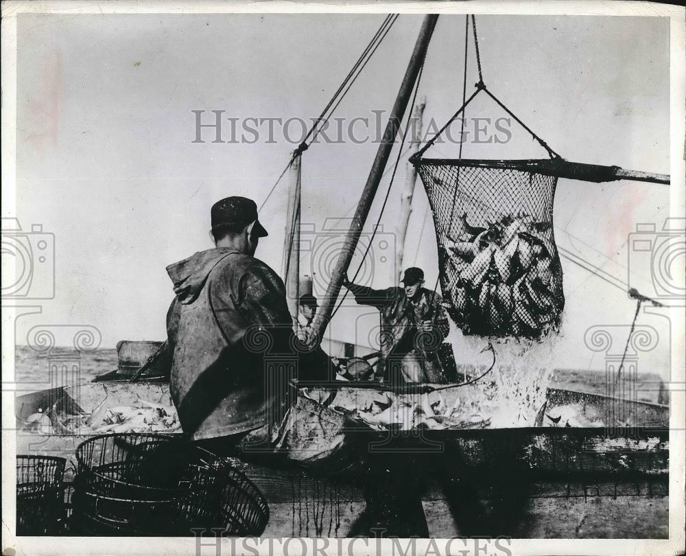 1945 Press Photo Fishermen Operating Power Winch With Net Load Fish Onto Boat - Historic Images