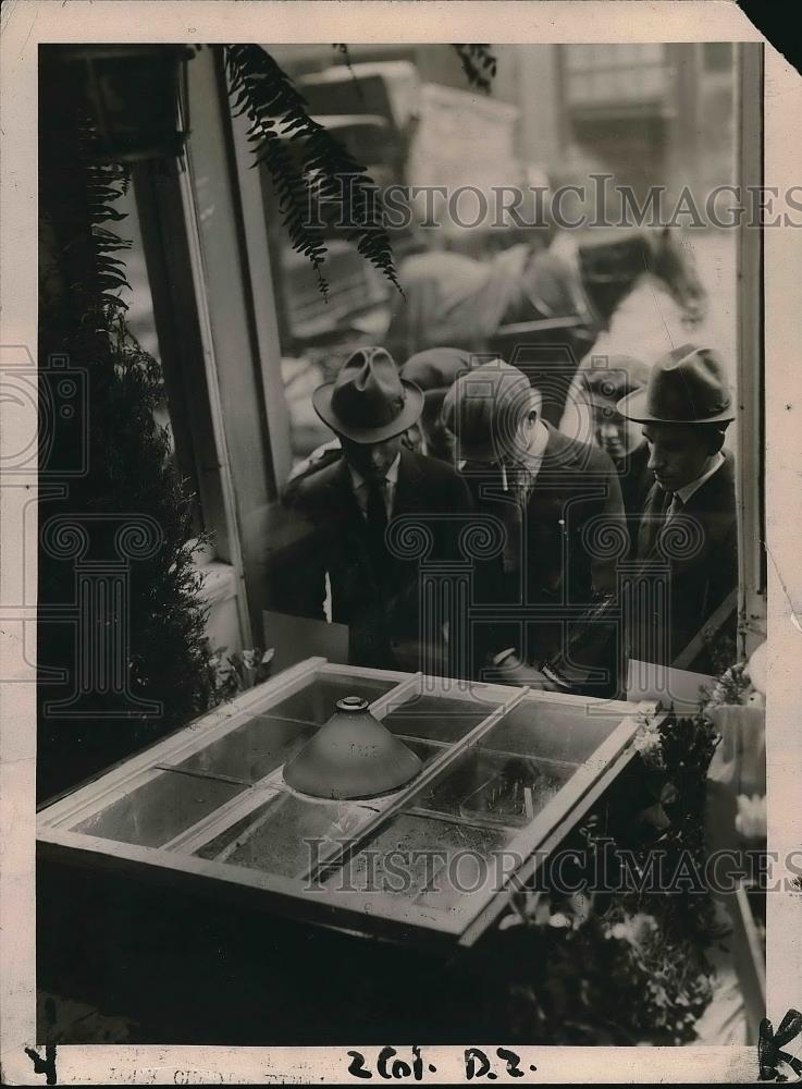 1921 Press Photo Beans Growing by Electricity in New York Store Window - Historic Images