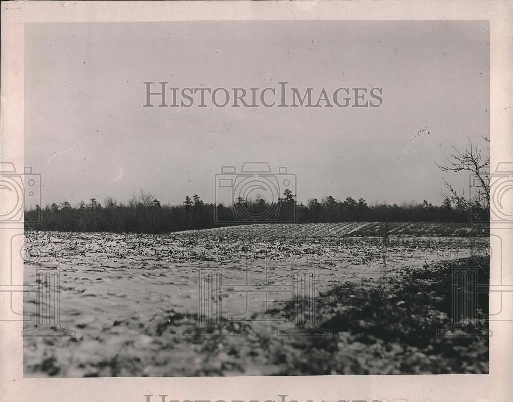 1919 Press Photo Billy Dansey Case field - Historic Images