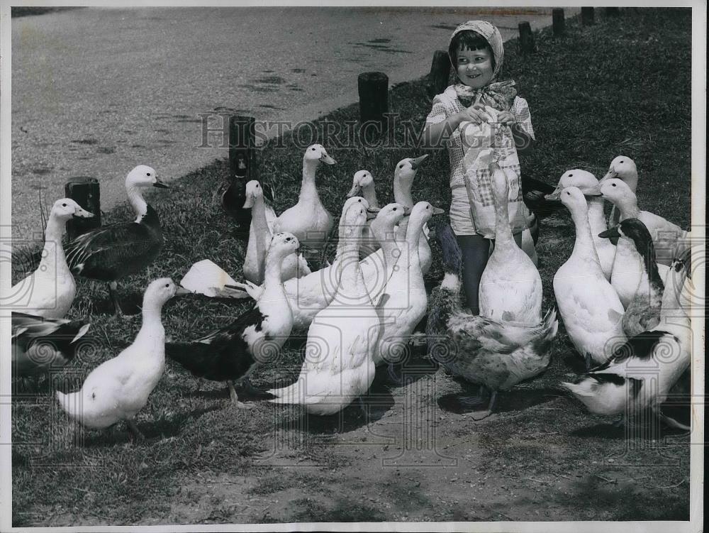 1960 Press Photo Memphis, Tn Sally Goldsmith feeds geese at Riverside park - Historic Images