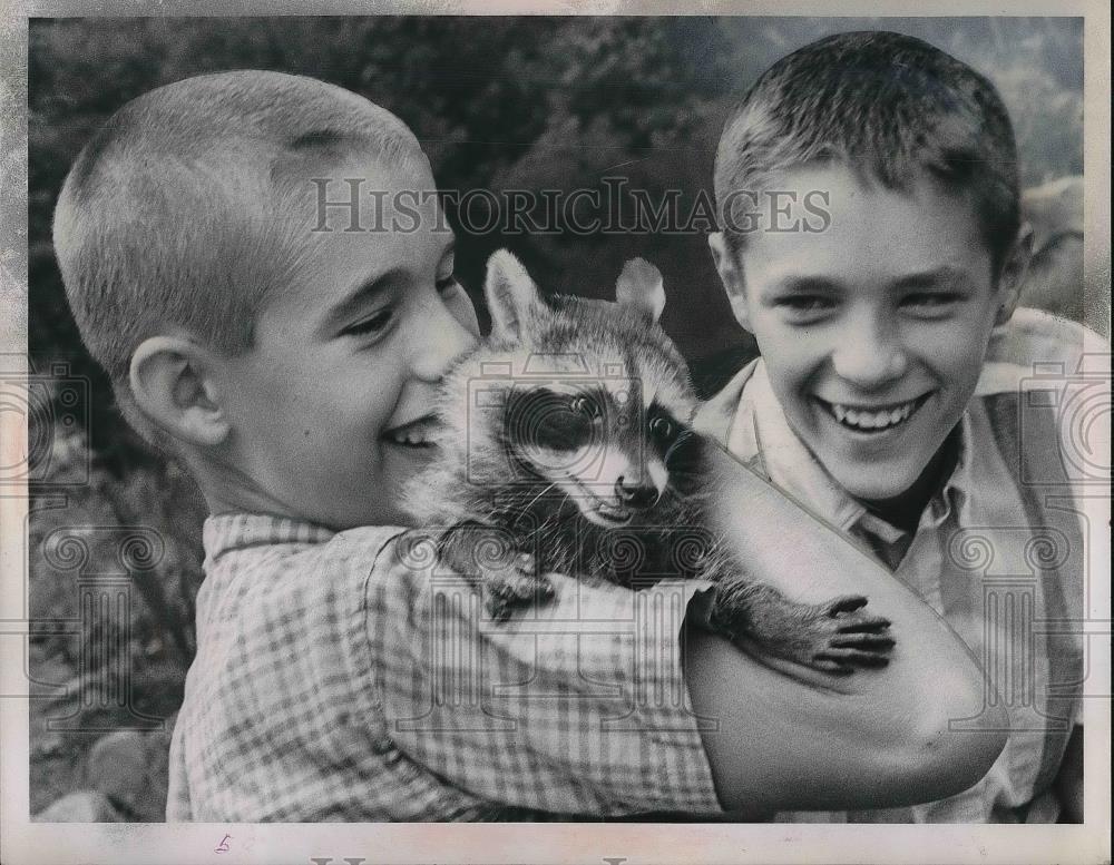 1963 Press Photo Gregory Varga Mike Janus Children Playing With Raccoon - Historic Images