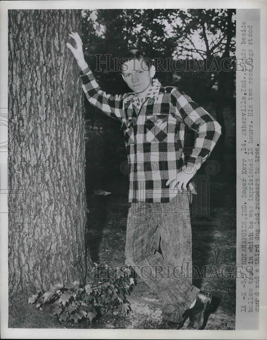 1952 Press Photo Roger Kerr Asherville Indiana Fell Inside A Tree - Historic Images