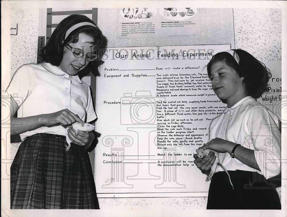 1964 Press Photo Worden School Debbie Vaklitsch Rax Dixie Gail Mcrrows rat Pixie - Historic Images