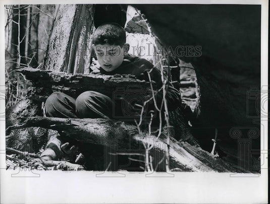 1964 Press Photo Mark Karam, 12, South Euclid, Ohio - Historic Images