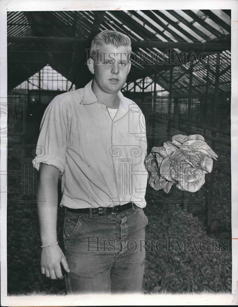 1950 Press Photo Richard Nanninga holds a cluster of lettuce, Grand Rapids, MI - Historic Images