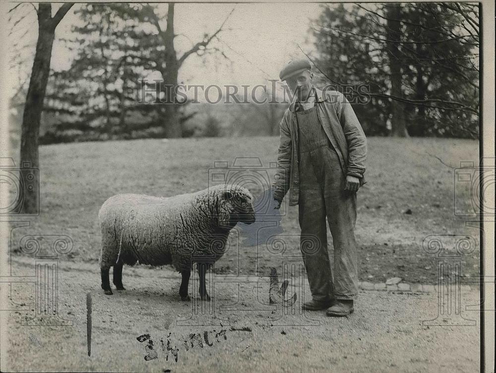 1929 Press Photo Man with a Sheep - Historic Images