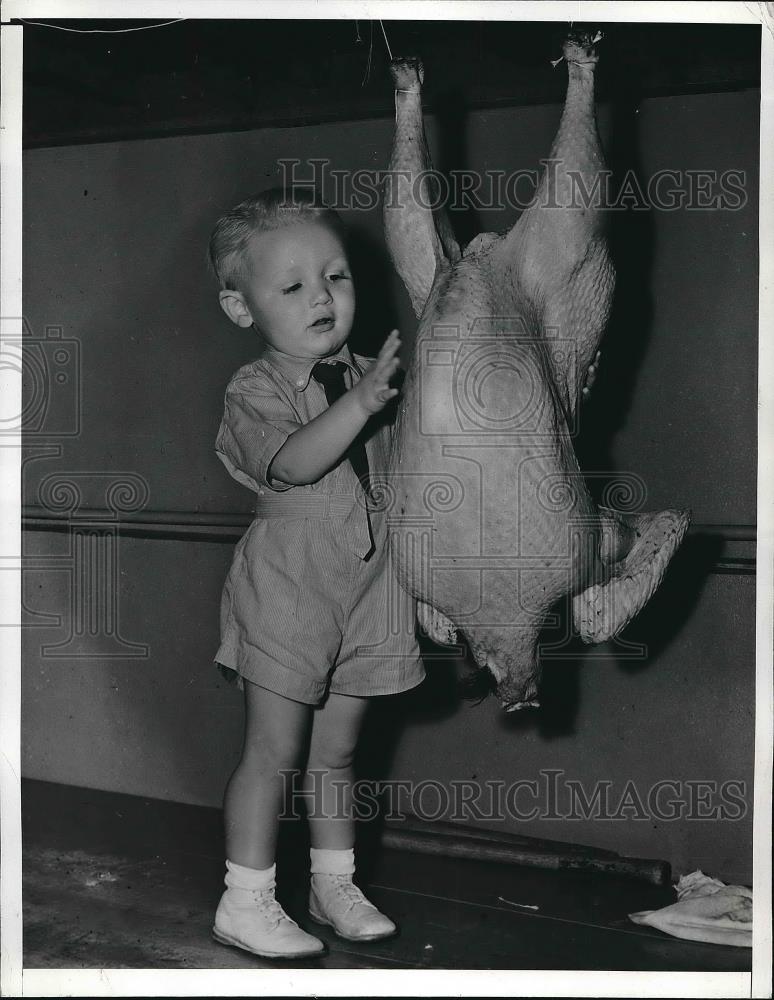 1940 Press Photo 2 yr old Donald Richard checking out a 35lbs turkey - Historic Images