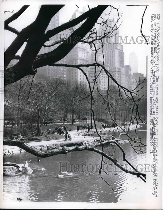 1961 Press Photo People Visiting New York's Central Park - Historic Images