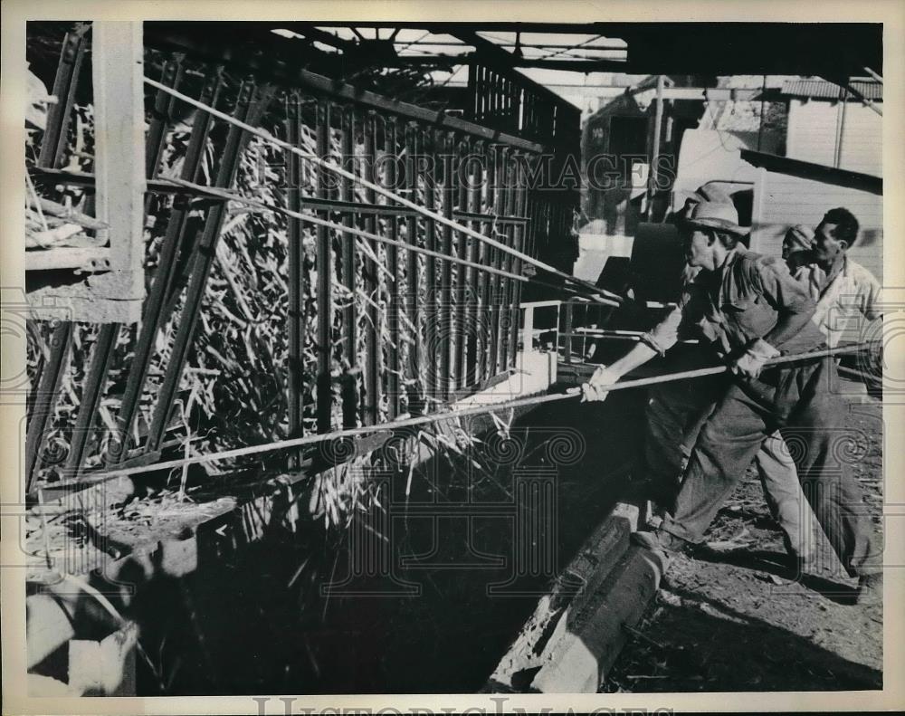 1964 Press Photo Cuban Workers Manipulate Steel Frame To Keep Sugar Cane - Historic Images