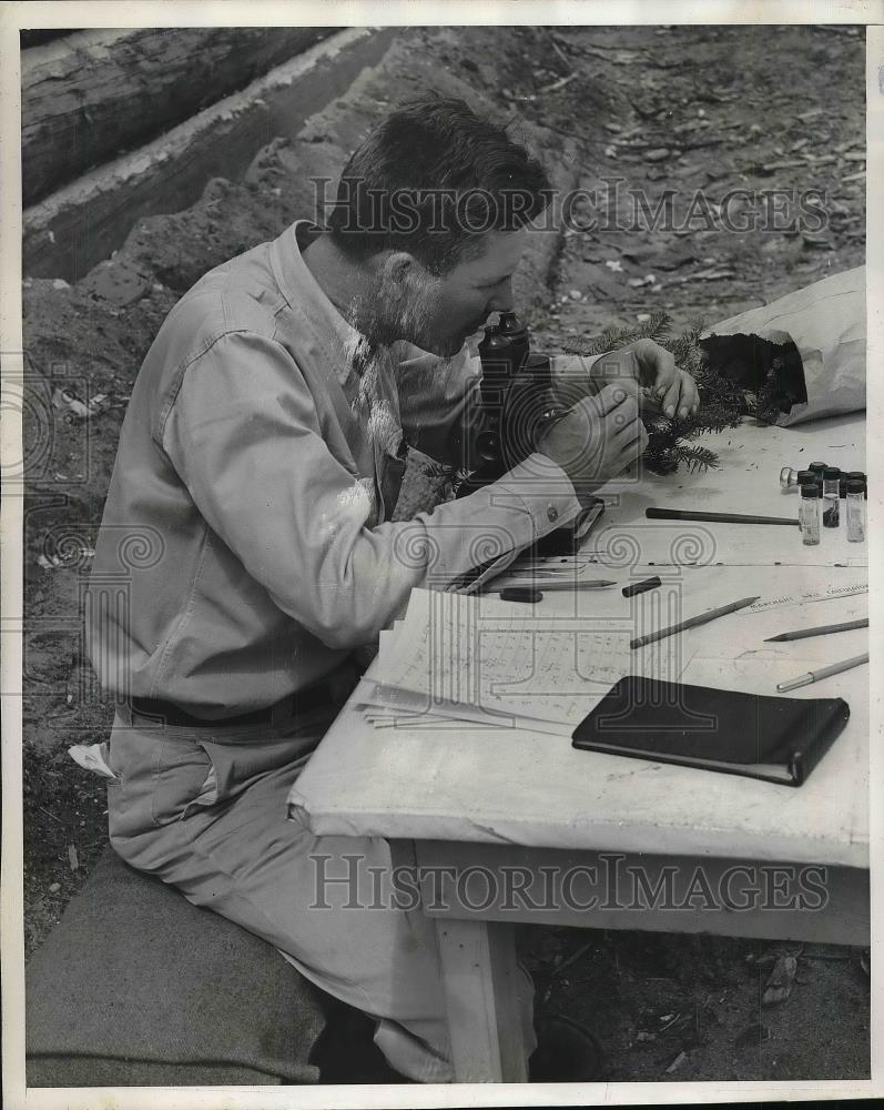 1945 Press Photo Sr Henry Bass US Government Entomologist - Historic Images