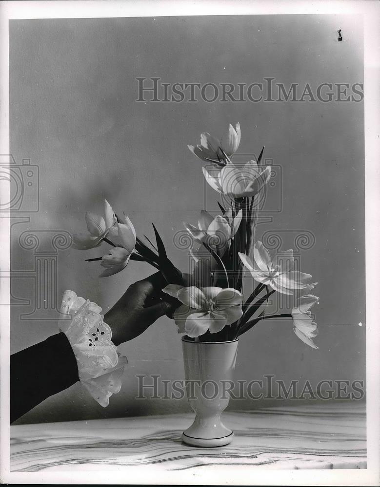 1958 Press Photo A Tulip design suggested by J. Gregory Conway - Historic Images