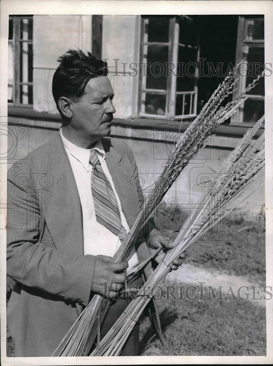 1946 Press Photo Professor Taitsin holds sheaves of wild couch & wild lyme grass - Historic Images