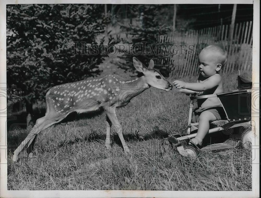 1955 Press Photo Michael Schubert playing with a fawn - Historic Images