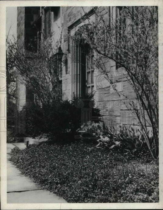1933 Press Photo Forsythia & daffodils in Spring bloom - Historic Images
