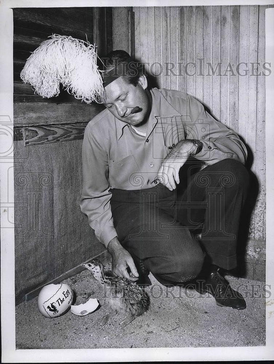 1946 Press Photo Jim Moran & a newly hatched ostrich chick in LA, Calif. - Historic Images