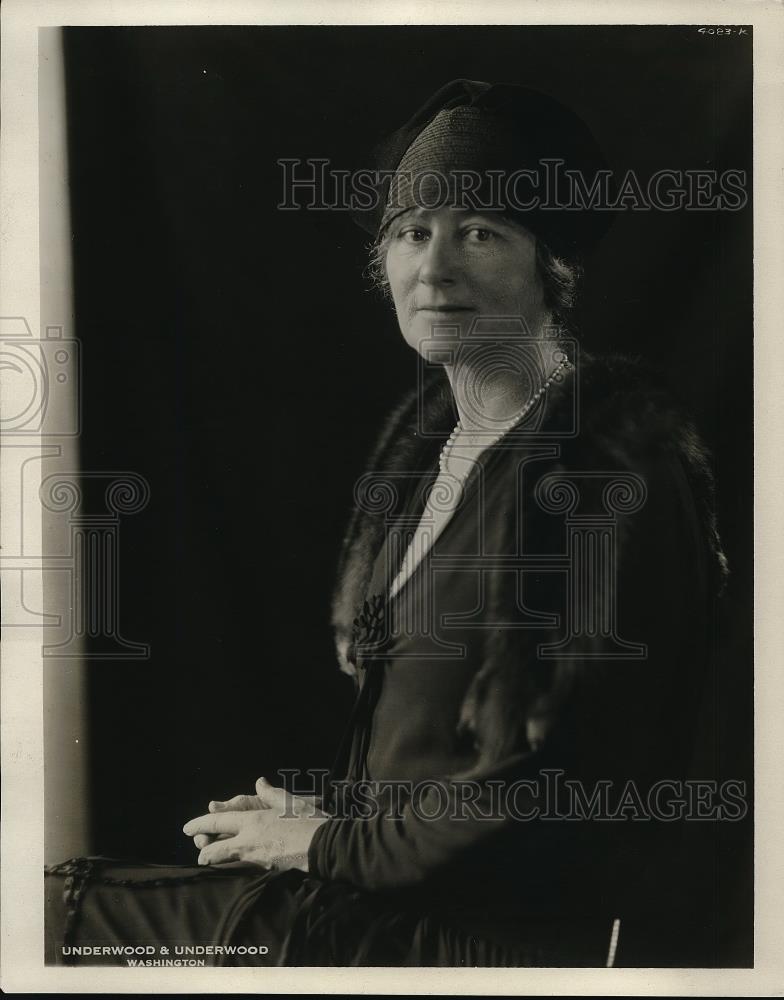 1930 Press Photo Mrs F Louis Slade of Republican Educational Council - Historic Images