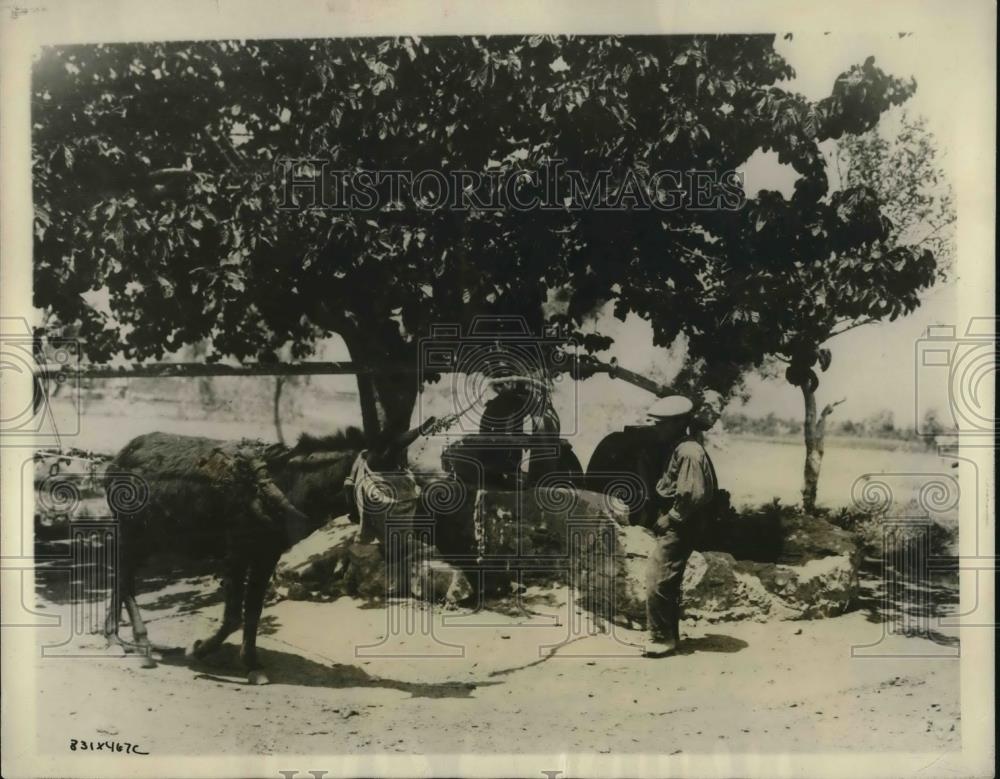 1926 Press Photo Island of Corfuian Industrial Life - Historic Images