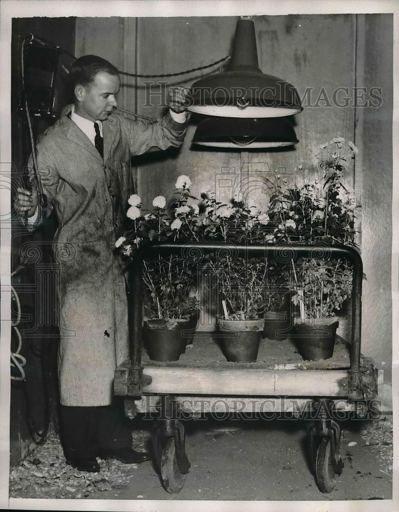 1939 Press Photo Dr Hamner Growing Plants with Artificial Lighting - Historic Images