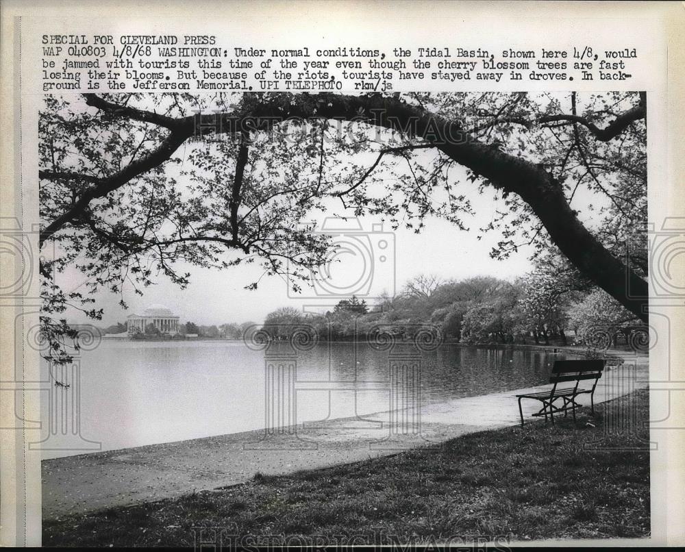 1968 Press Photo Tidal Basin Cherry Blossom Trees Bloom - Historic Images