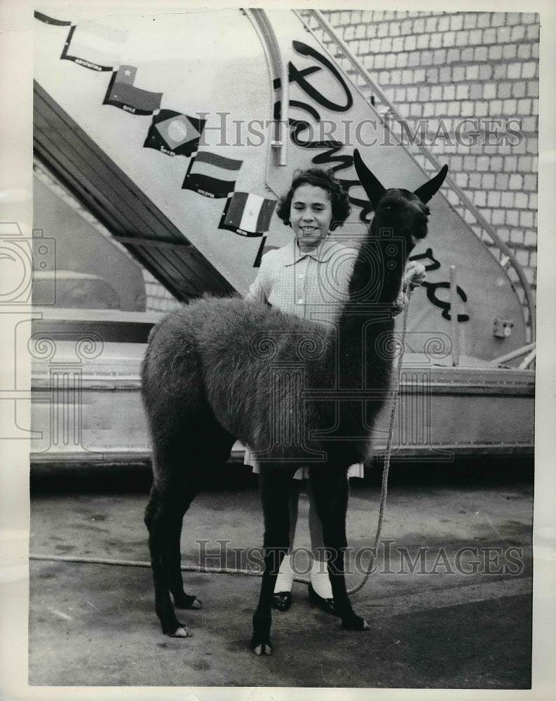 1961 Press Photo Carmencita Regalado Holds Llama She Wishes To Send To DC - Historic Images