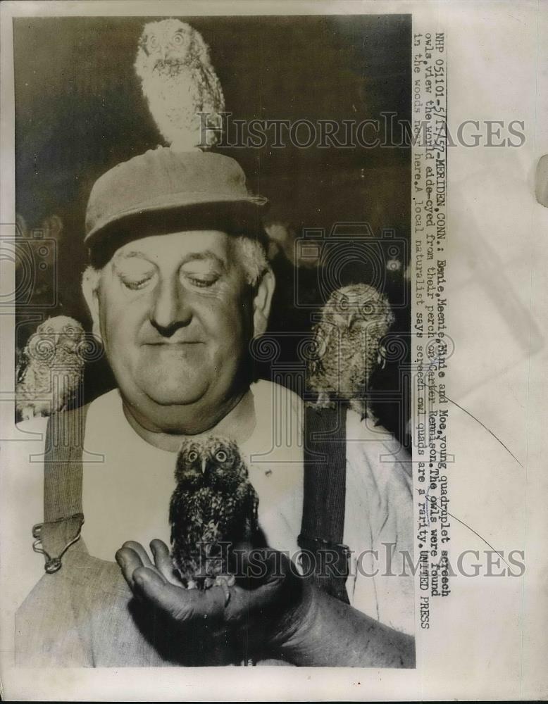 1957 Press Photo Carter Rennison with Quadruplet of Screech Owls in Meriden, CT - Historic Images