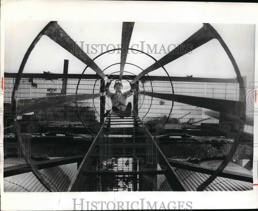 1971 Press Photo Worker at Chinhae Chemical Company - Historic Images