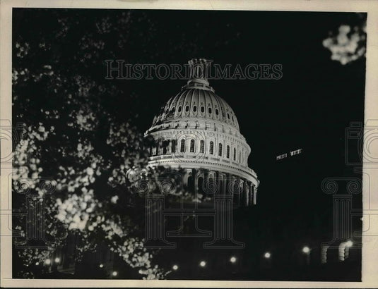 1932 Press Photo Famed Cherry Blossom Trees Capitol in Background - Historic Images