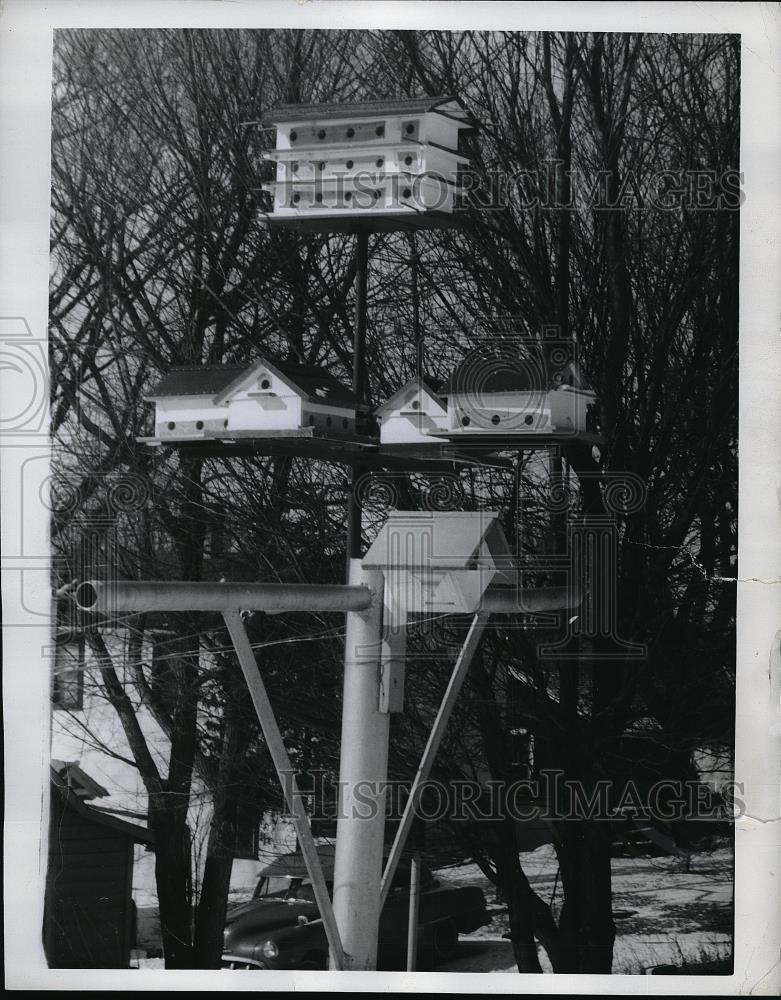 1963 Press Photo Split Level Housing for Birds in Backyard of John Alderson - Historic Images